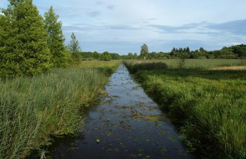 Kwiatowa Zagroda - Foto 15