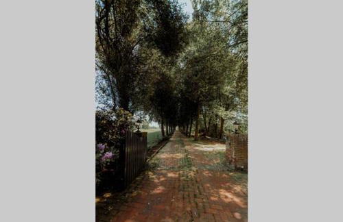 Landhaus Kurzenmoor - FeWo Sommerhaus, 100 qm - Photo 16