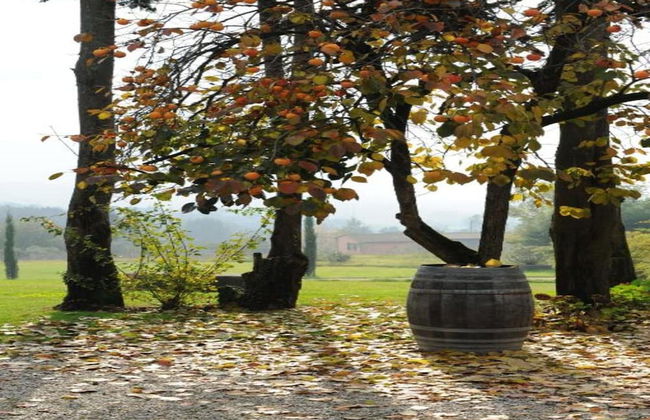 Capannori Playful Cottage - Foto 14