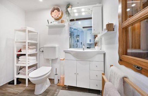 Gorgeous Home In Gornja Voca With Sauna - Foto 32