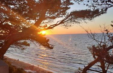 La Casa tra i Pini - Foto 13