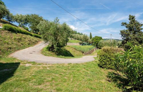 Fattoria di Pietrabuona - Photo 14