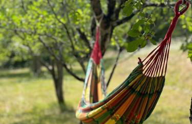Gîte 8 personnes dans un écrin de verdure avec vue - Foto 8