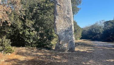 mas du Clap - Photo 5