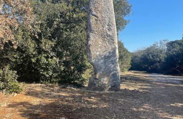 mas du Clap - Photo 5