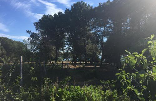 Residenza Gherly - Foto 77
