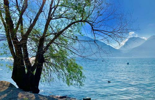 Casa Giardino fiorito - Foto 30