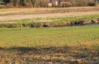 the tillys cottages - Foto 35