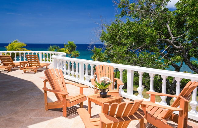 Yellow Bird - Foto 20