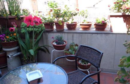 Chiara Rooms - Foto 16