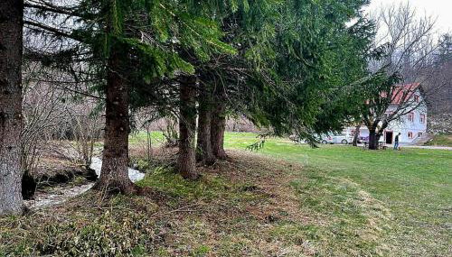 Villa Andjelija - Foto 4, Garden, Garden view