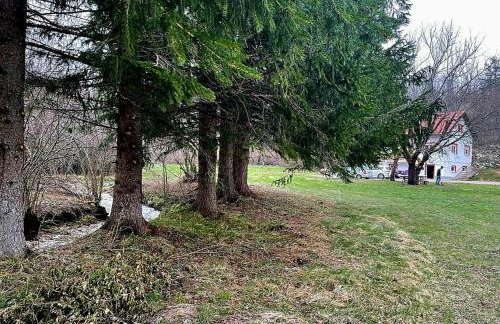 Villa Andjelija - Foto 4