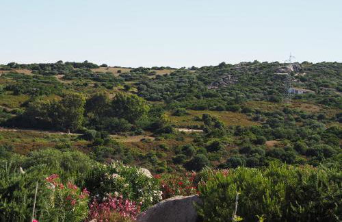 Stazzu Giasti Agriturismo - Photo 78