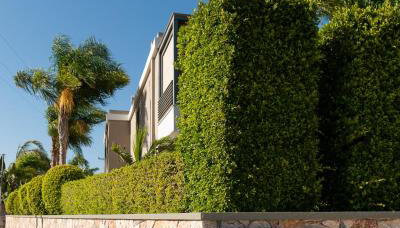 Palmeral Luxury Suites - Foto 2