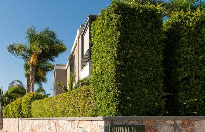 Palmeral Luxury Suites - Foto 2