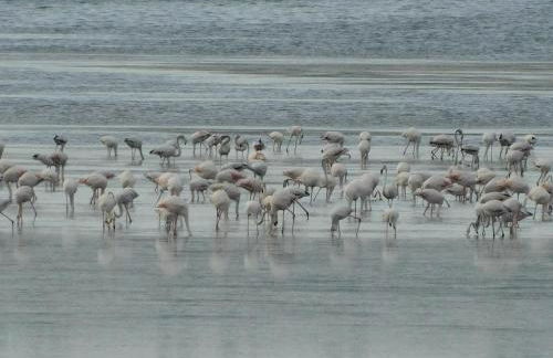 La Maison CANTHEZ Wifi - Foto 29