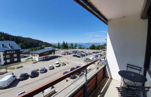 Résidence LES CHAMOIS - aux pieds des pistes de Chamrousse - Foto 25