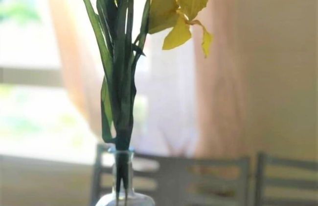 Coqueto Estudio a 250m de la playa - Foto 14