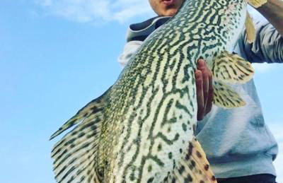 In Riva al Lago di Iseo Dependance Primo Piano - Foto 32