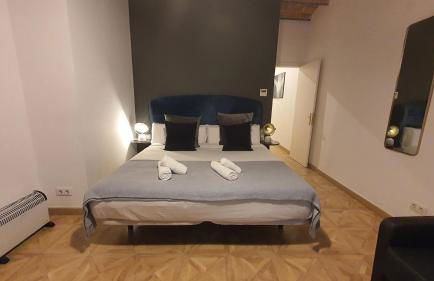 Barrio Gotico Apartments Escudellers - Foto 20