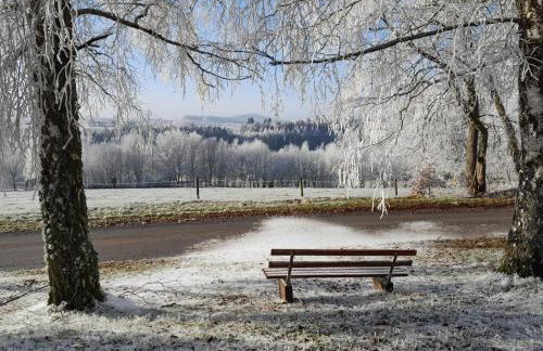 Fewo Waldtherme Relaxen, wandern, Radfahren - Foto 45