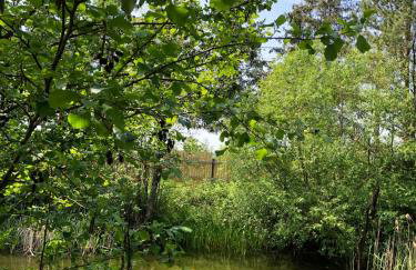 Wiejski Zakątek nad Wigrami - Foto 16