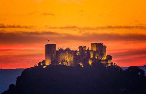 Estación Norte y Sur FAMORCAS - Foto 18