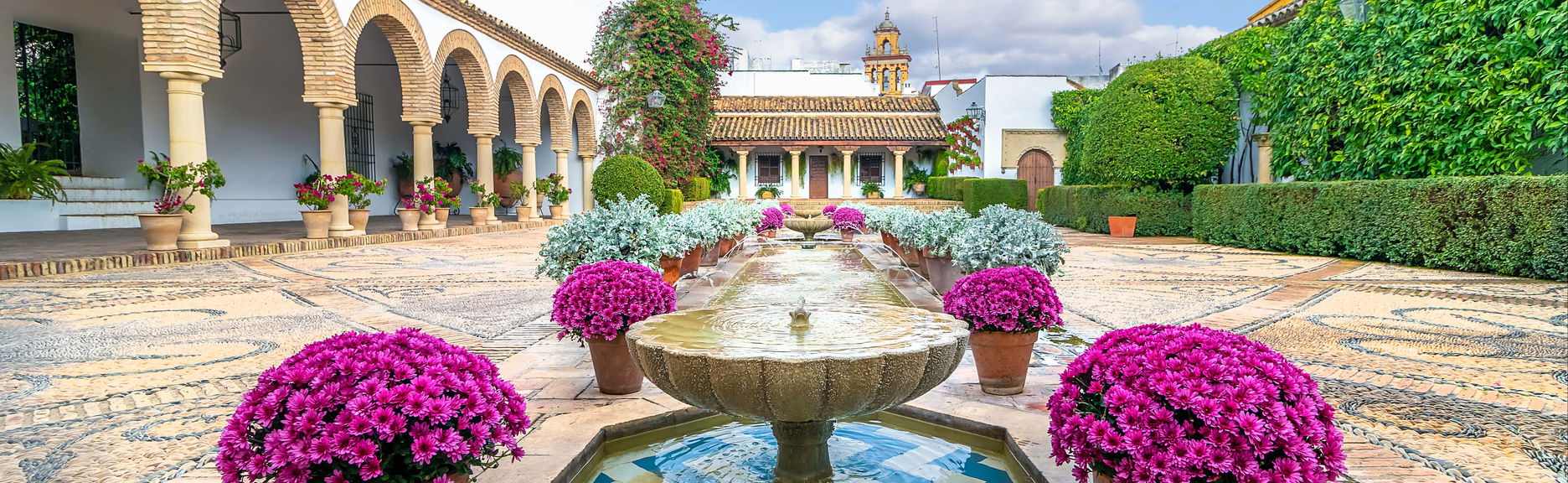 Visita del Palacio de Viana y sus patios