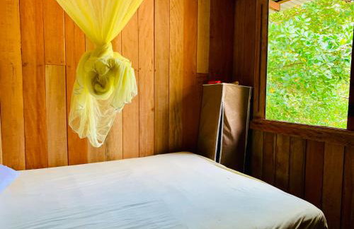 FM Algodoal - Foto 13