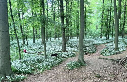 Wohnen auf dem Ponyhof - Photo 23