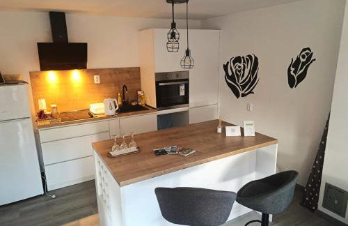 Studio apartman Kod Ruže - Foto 1