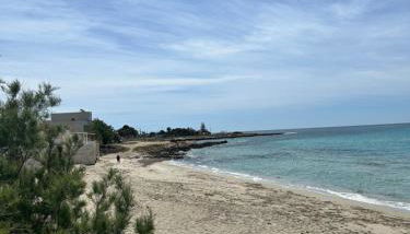 Villa Le Conche - Flora - Foto 3