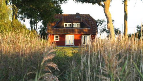 Ferienhaus Kranichblick - Foto 3