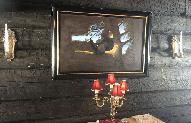 Hellefors Herrgård - Photo 32