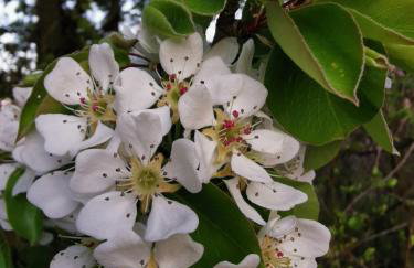 Apartament Pod Dębiną - Foto 15