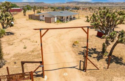 The Whispering Wind Tree - Foto 35