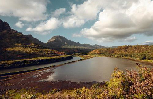 Banyan Harbor Resort - Foto 75