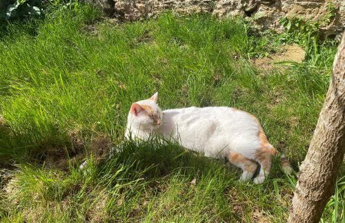 Le Cocon - Domaine de la Houblette - Foto 15