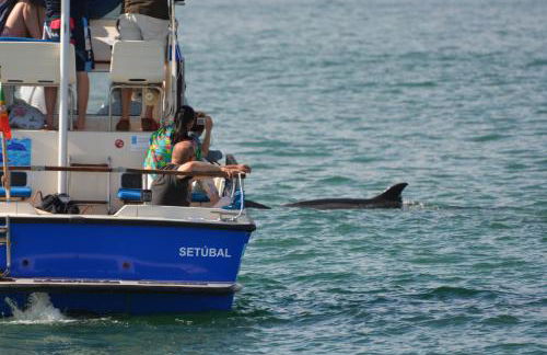 ComportAMar - Foto 38