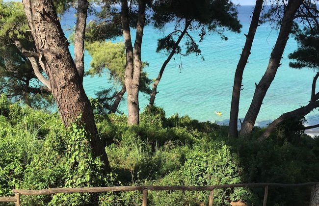 Petra Mare Villas - Photo 28