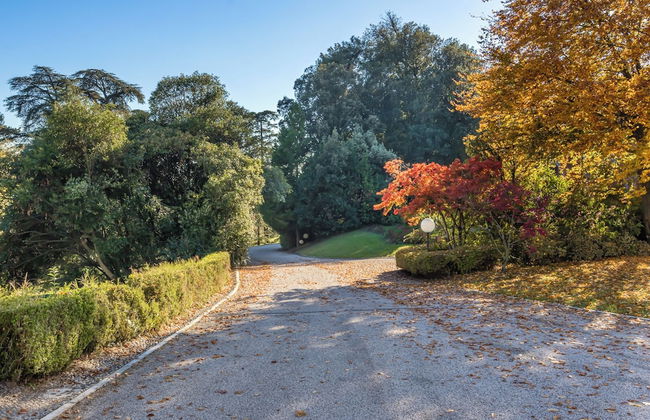 Villa Col di Luna-ProseccoHills - Photo 56