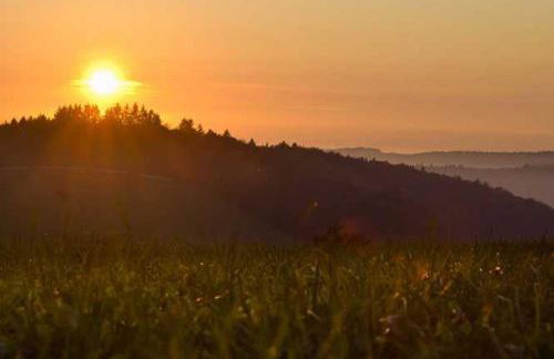 Fewo Kaspershäusle: Alleinlage mitten im Wald - Foto 20