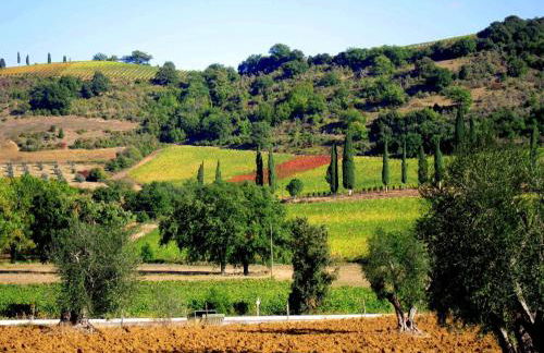 Apartment Anwesen mit Schwimmbad by Interhome - Foto 33