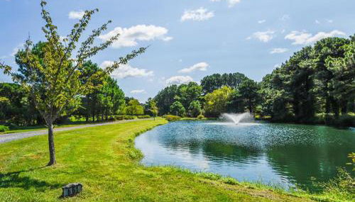 Jewel of the Tred Avon - Foto 2