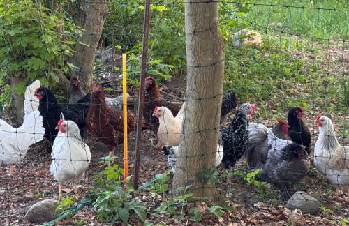 Gutshaus Haidhof - Foto 25