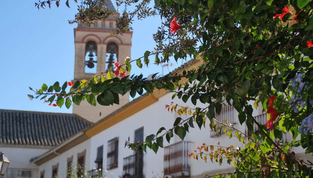 Tour in Marchena - Foto 2