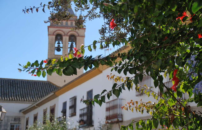Tour in Marchena - Foto 2