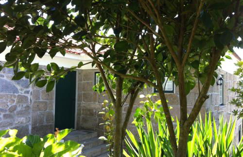 Casa de Ladrido - Foto 61