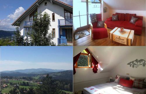 Ferienland Sonnenwald Fewo 46 - Foto 1