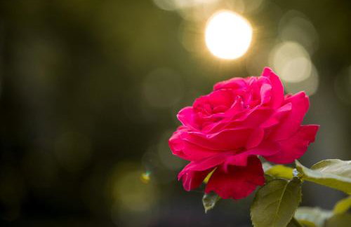 Apartament przy Kamiennej Chacie - Foto 10